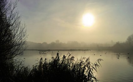 Counselling in Wimbledon SW19