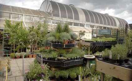 Fulham Palace Garden Centre