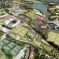 All England Tennis Club Wimbledon