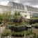 Garden Centre Wimbledon