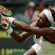 Serena Wimbledon 2014