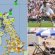 Weather for Wimbledon