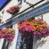 Wimbledon best restaurants