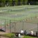 Wimbledon Park Tennis Club