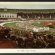 Wimbledon Stadium dogs