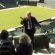 Wimbledon Stadium Tour