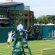 Wimbledon Tennis address