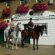 Wimbledon Village Stables