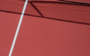 Lawn Tennis Association Wimbledon ballot