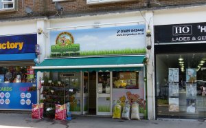 Pet Shops in Wimbledon
