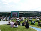 Cinema listings Wimbledon