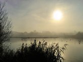 Counselling Wimbledon