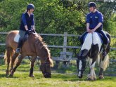 Horse riding Wimbledon