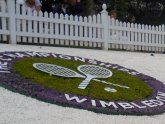 Wimbledon flowers