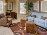 Wimbledon Oaks Apartments Arlington Texas